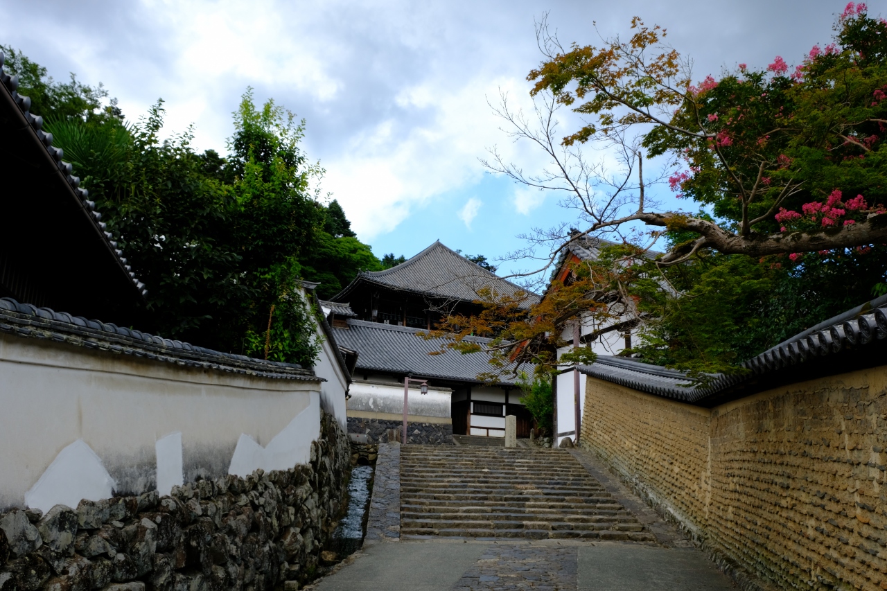 夏の奈良散歩 奈良市 奈良県 の旅行記 ブログ By Okwさん フォートラベル 夏の奈良散歩 奈良市 奈良県 の旅行記 ブログ By Okwさん フォートラベル