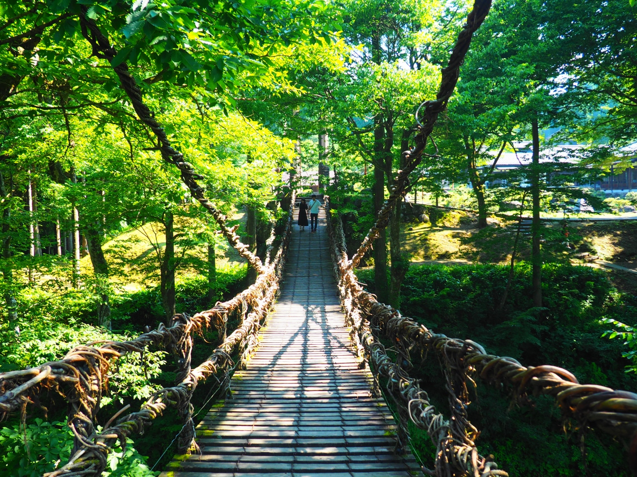 本州唯一のかずら橋に行ってきた 大野 福井県 の旅行記 ブログ By ﾋﾛﾎﾟﾝさん フォートラベル