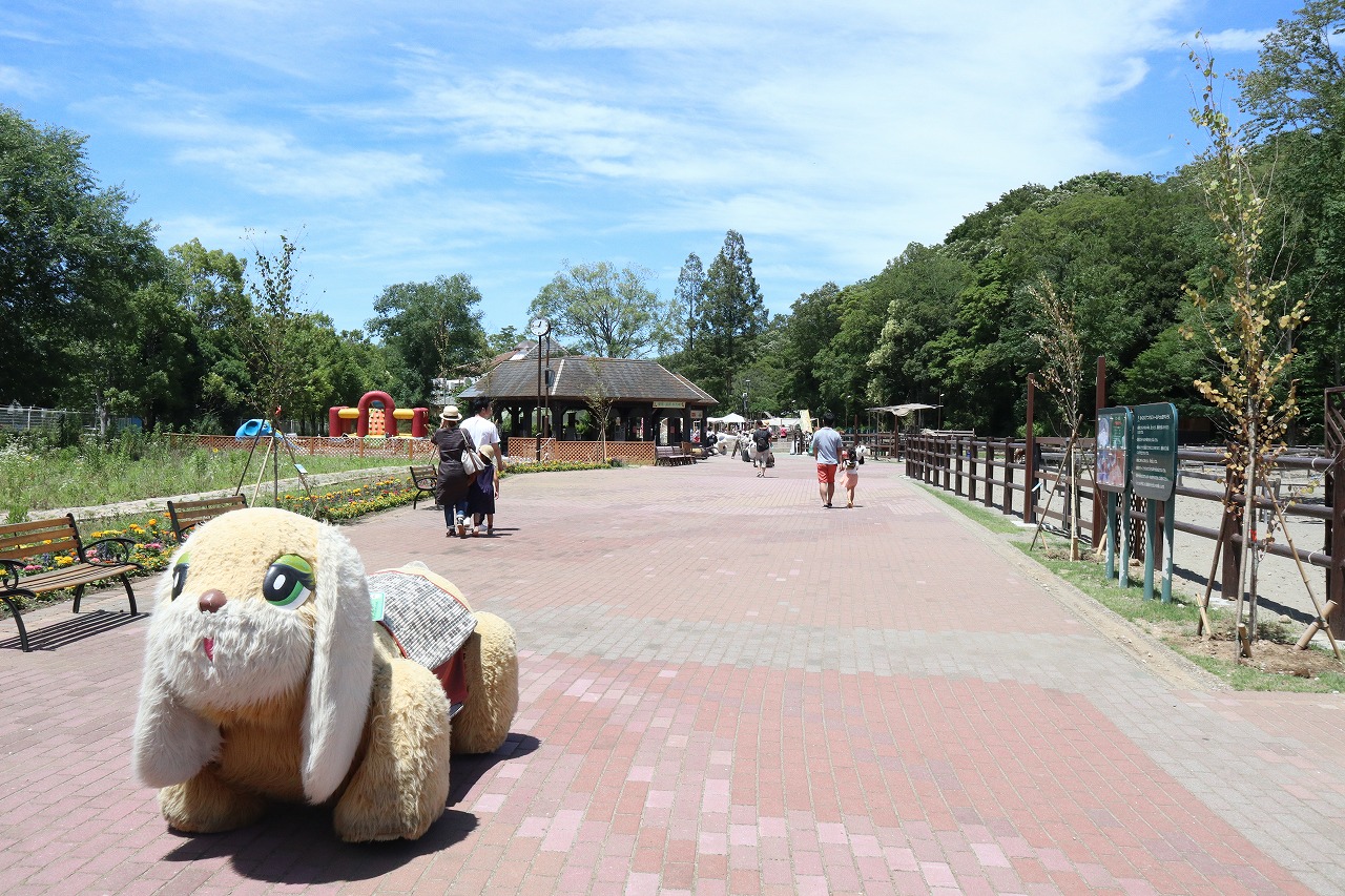 風太のいる千葉市動物公園へ 千葉市 千葉県 の旅行記 ブログ By くらげさん フォートラベル