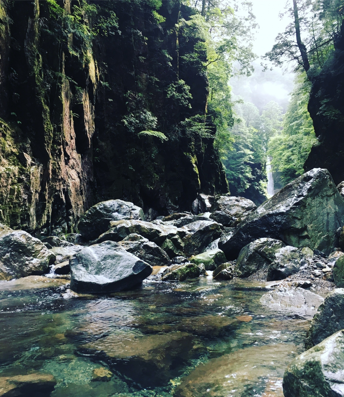 初めての大台ケ原 絶景を求めて山小屋泊 大台ヶ原 上北山 奈良県 の旅行記 ブログ By 963pinokoさん フォートラベル