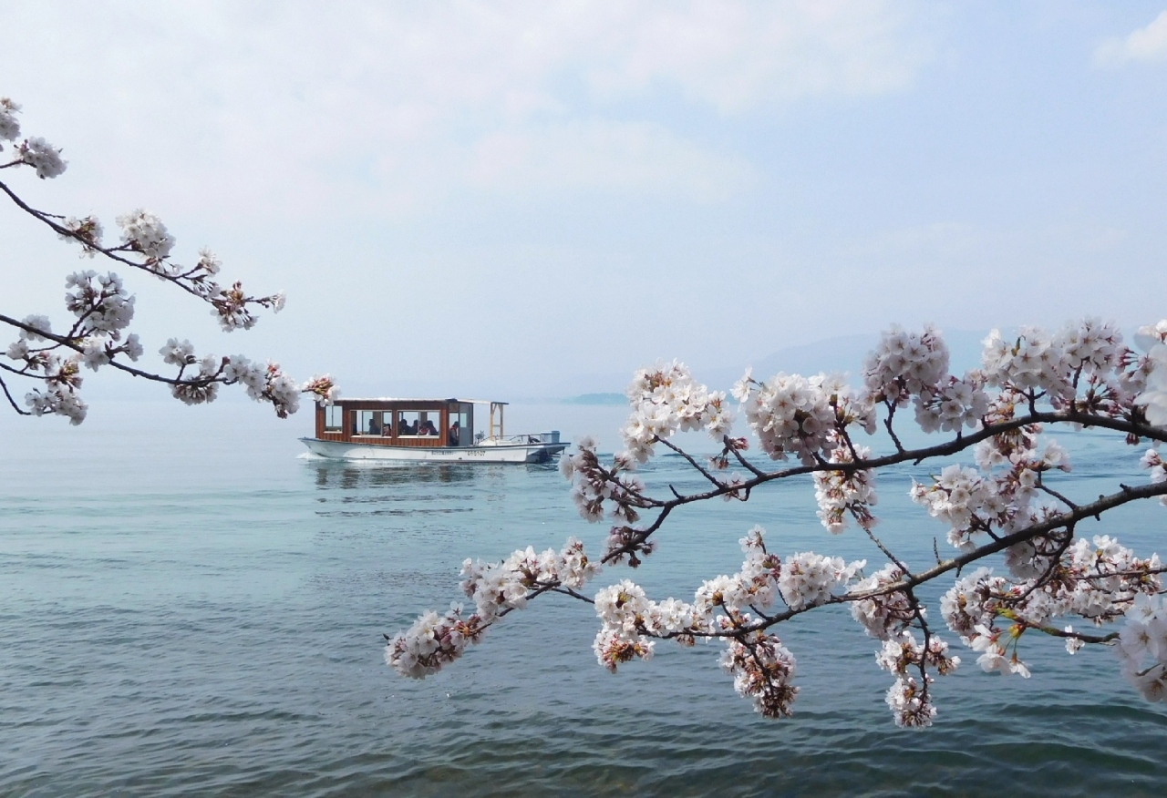 琵琶湖一周 お花見ツアー 18 4 奥琵琶湖 滋賀県 の旅行記 ブログ By kenさん フォートラベル 琵琶湖一周 お花見ツアー 18 4 奥琵琶湖 滋賀県 の旅行記 ブログ By kenさん フォートラベル