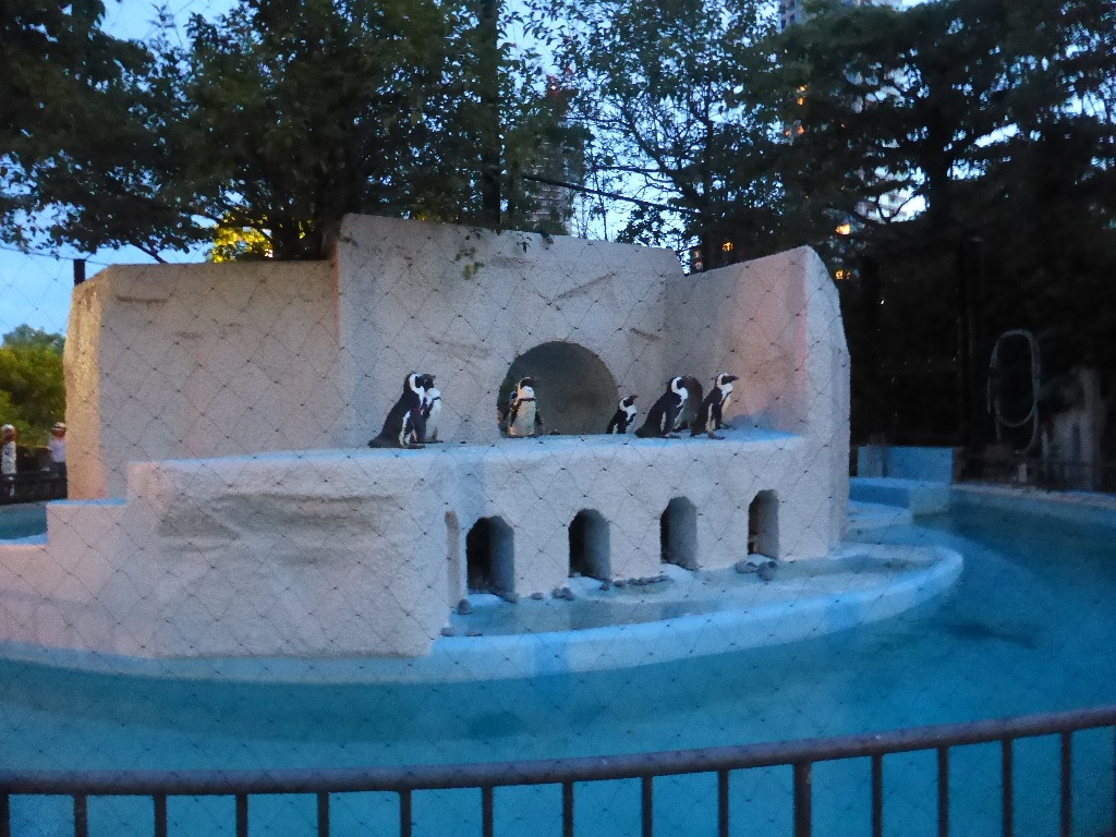 銀座松屋の ウォルト ディズニー アーカイブス展 と上野の 真夏の夜の動物園 18 8 上野 御徒町 東京 の旅行記 ブログ By Hrhrさん フォートラベル