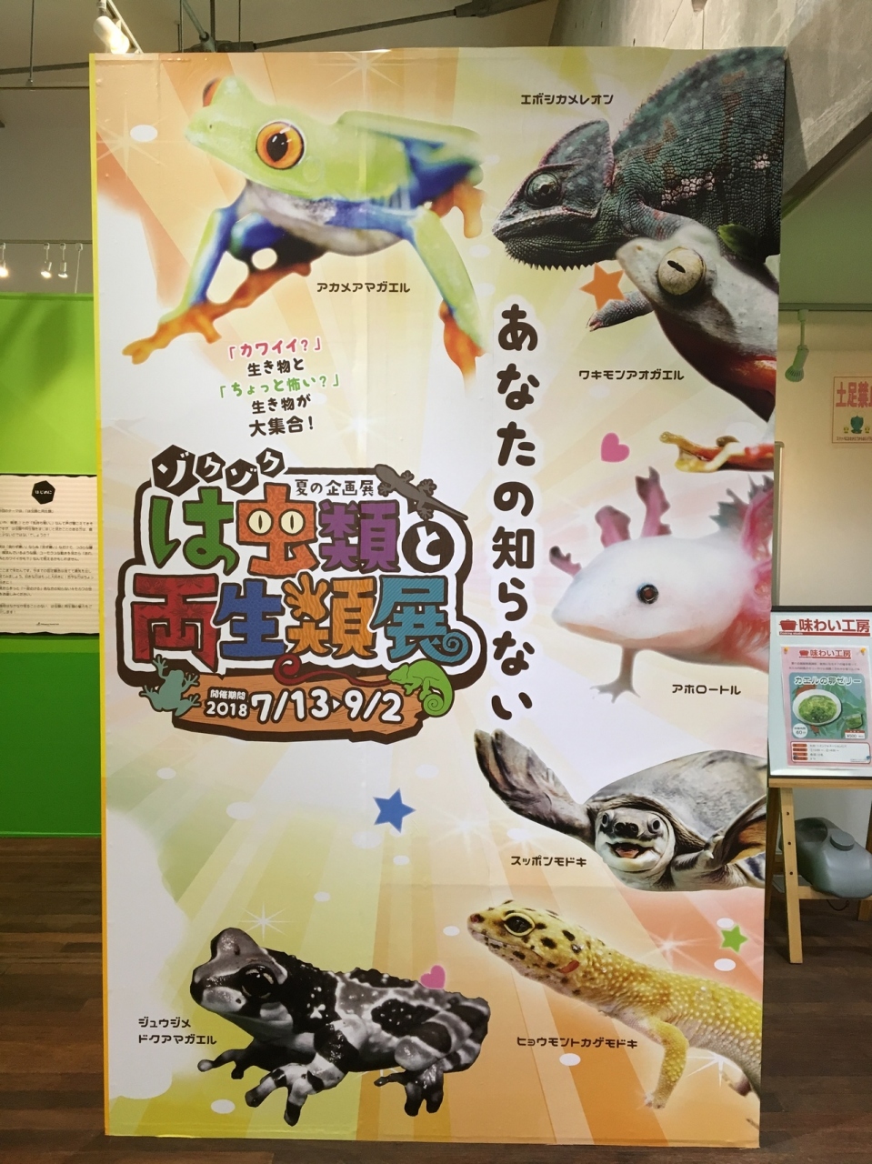3歳児と行く なかがわ水遊園 大田原 黒羽 那珂川 栃木県 の旅行記 ブログ By Emikoさん フォートラベル 3歳児と行く なかがわ水遊園 大田原 黒羽 那珂川 栃木県 の旅行記 ブログ By Emikoさん フォートラベル