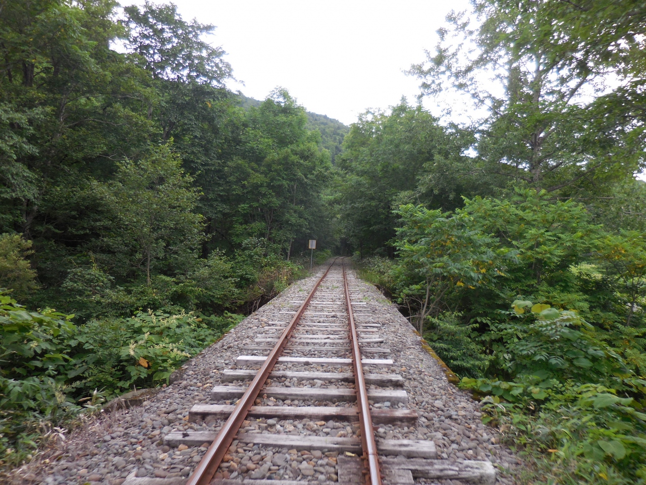 レールウェイ 枝幸 中川 音威子府 北海道 の旅行記 ブログ By マプトさん フォートラベル