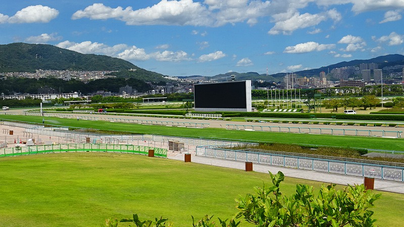 阪神競馬場の公園と弁天池公園 上巻 宝塚 兵庫県 の旅行記 ブログ By Hn11さん フォートラベル 阪神競馬場の公園と弁天池公園 上巻 宝塚 兵庫県 の旅行記 ブログ By Hn11さん フォートラベル
