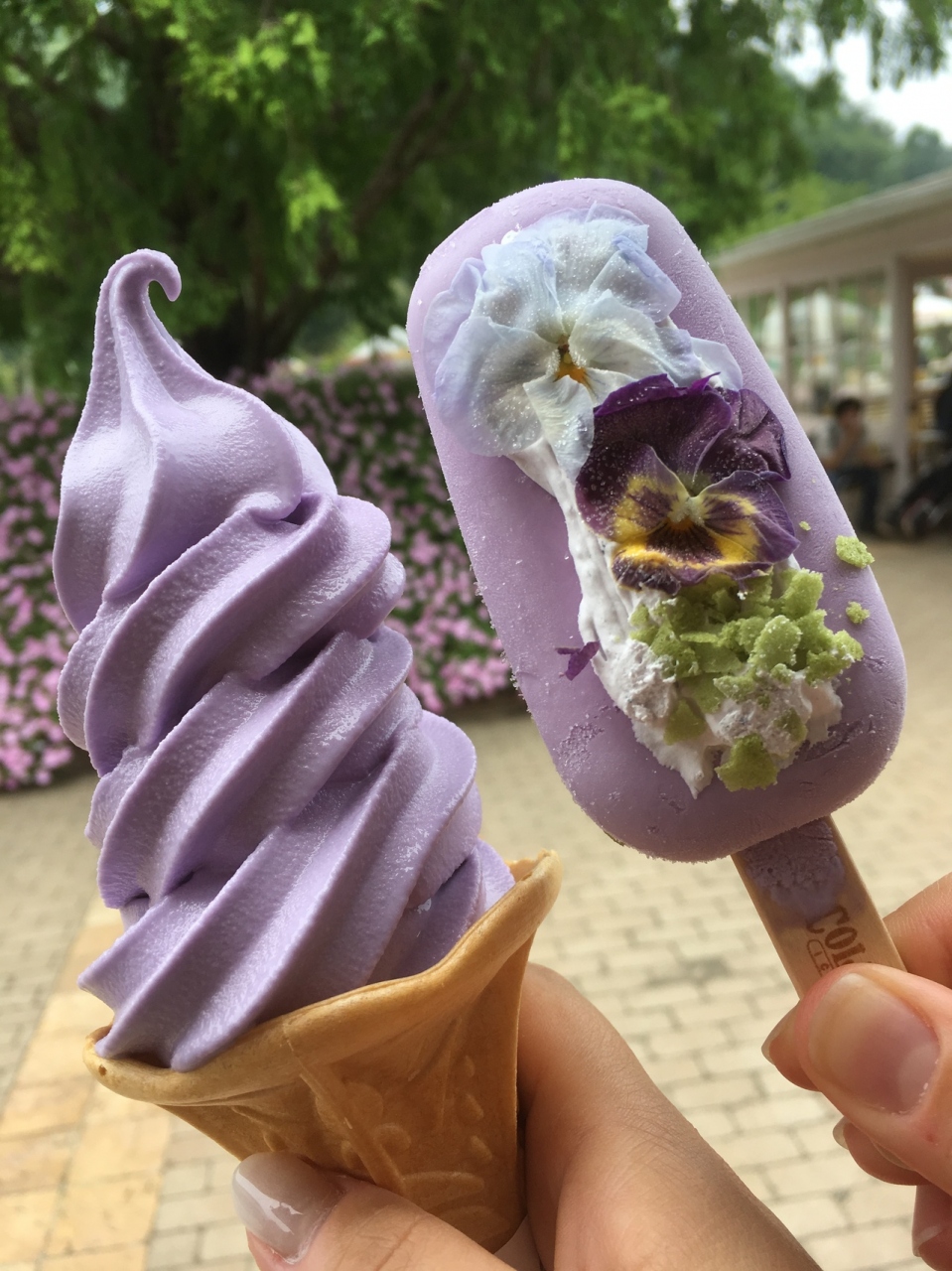 あしかがフラワーパークに行ってみたよ おまけ 佐野ラーメンとアウトレット 栃木県の旅行記 ブログ By Sachieさん フォートラベル