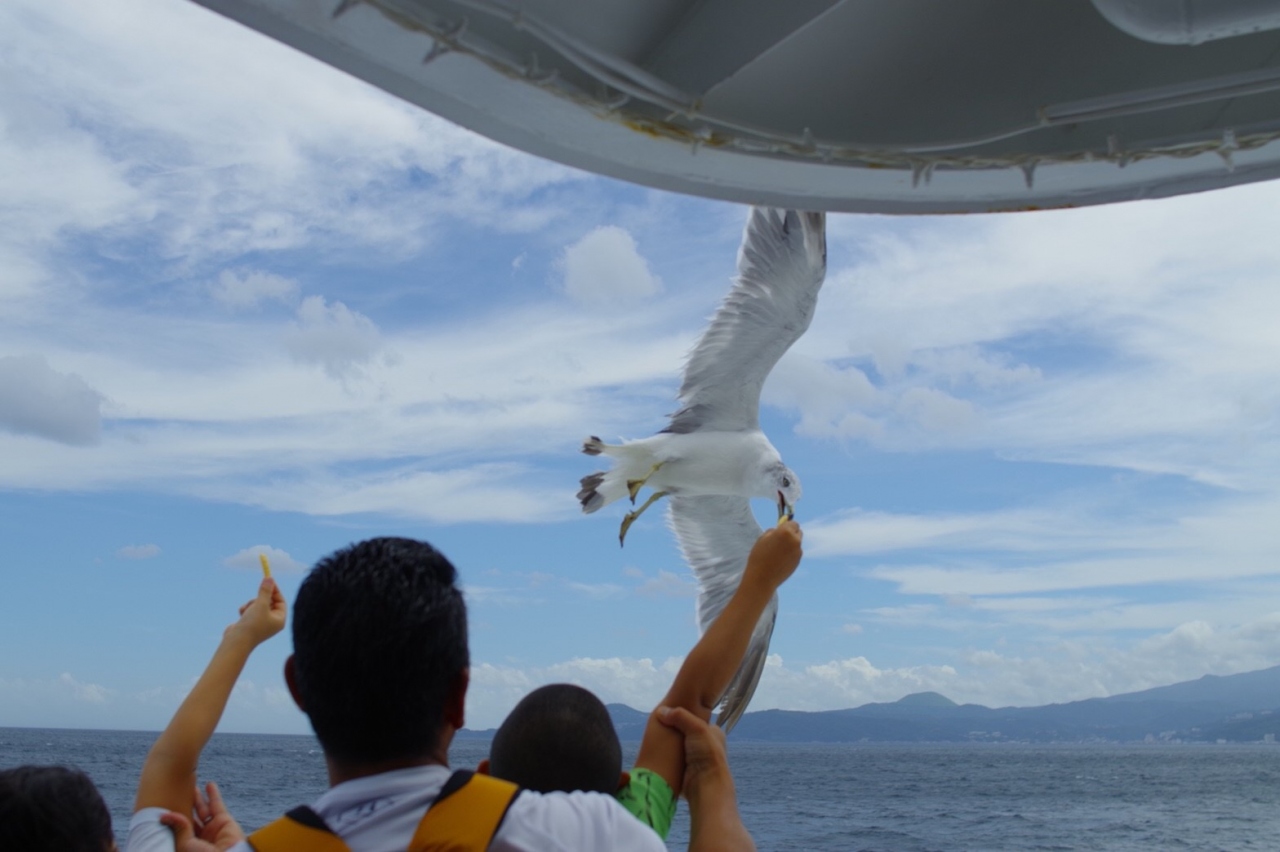 熱海から初島へカモメと共に 熱海 静岡県 の旅行記 ブログ By 岡田恵美子さん フォートラベル