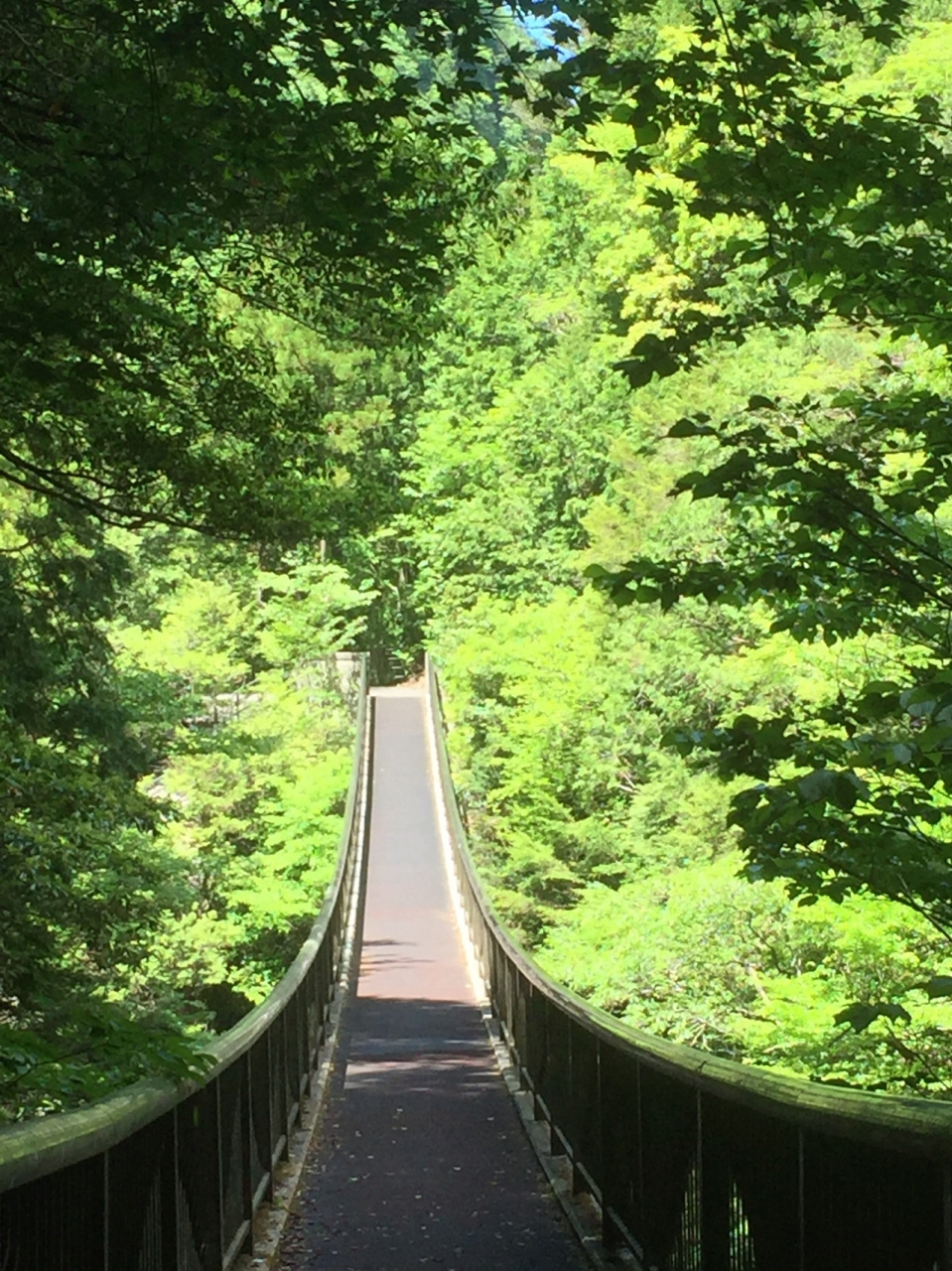 みたらい渓谷 洞川温泉 大峰山 天川 奈良県 の旅行記 ブログ By 佐藤公昭さん フォートラベル