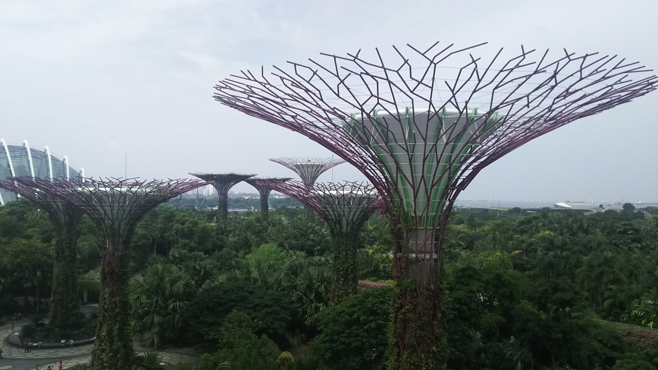 ハイパー植物 スーパーツリーを見逃すな シンガポール シンガポール の旅行記 ブログ By ヒデールさん フォートラベル