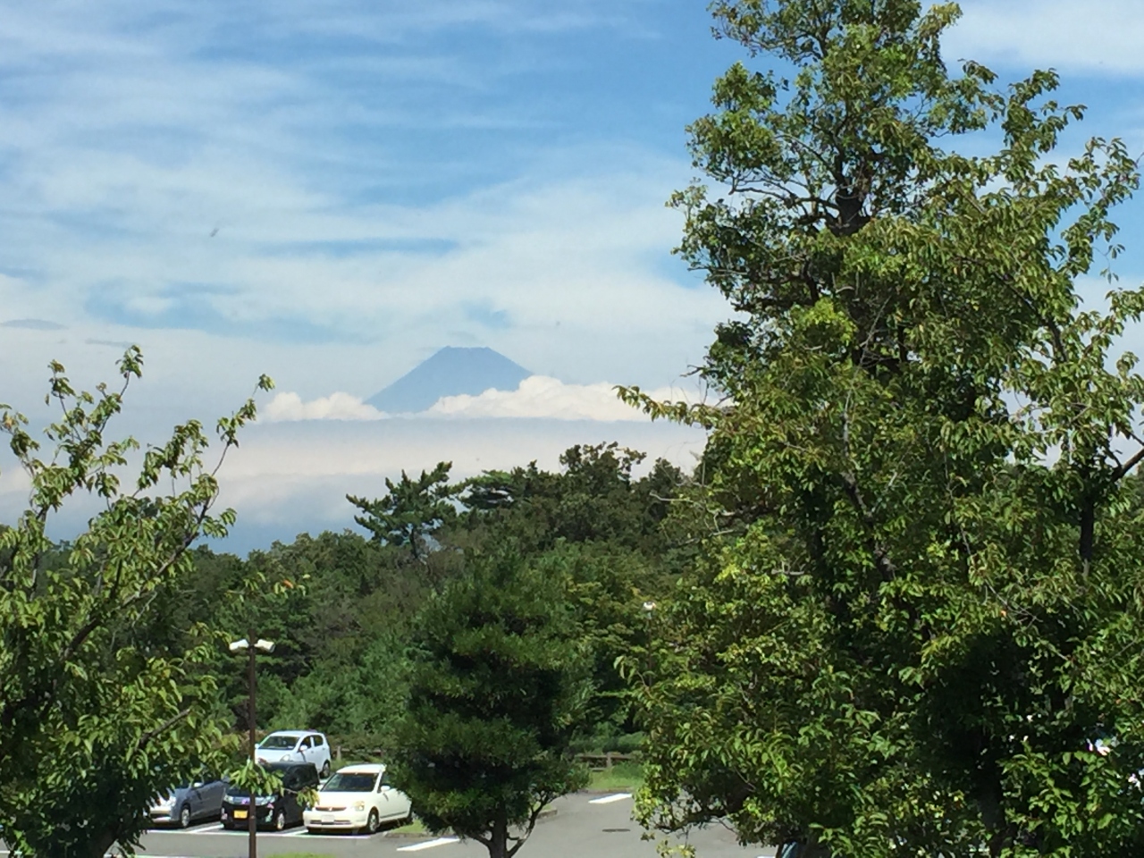 18年の夏休みは念願のタカアシガニを食べに 戸田 静岡県 の旅行記 ブログ By ママブー さん フォートラベル 18年の夏休みは念願のタカアシガニを食べに 戸田 静岡県 の旅行記 ブログ By ママブー さん フォートラベル