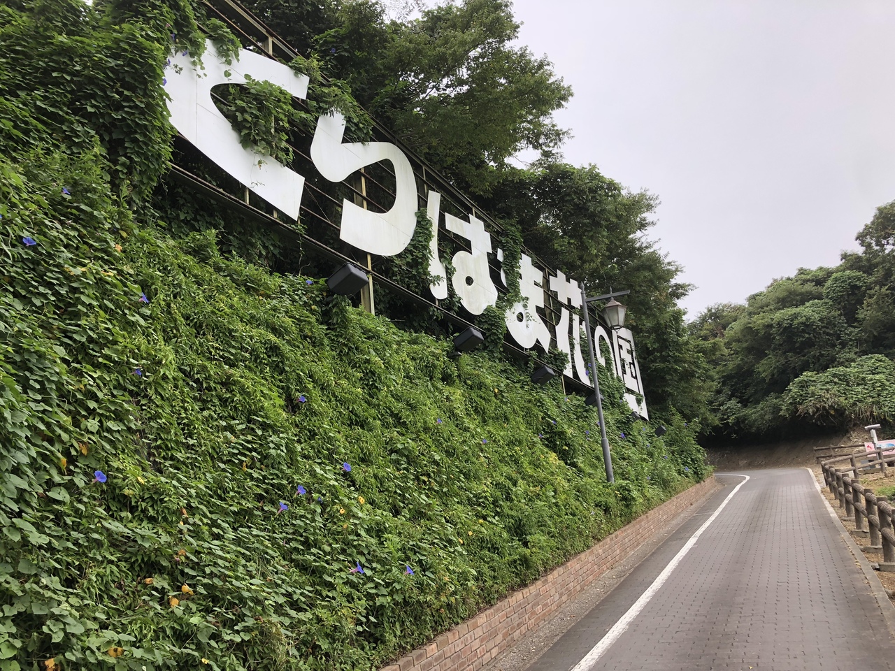 ポケモンgoサファリゾーンが当たったので横須賀行ってきました 横須賀 神奈川県 の旅行記 ブログ By Emi ﾉさん フォートラベル