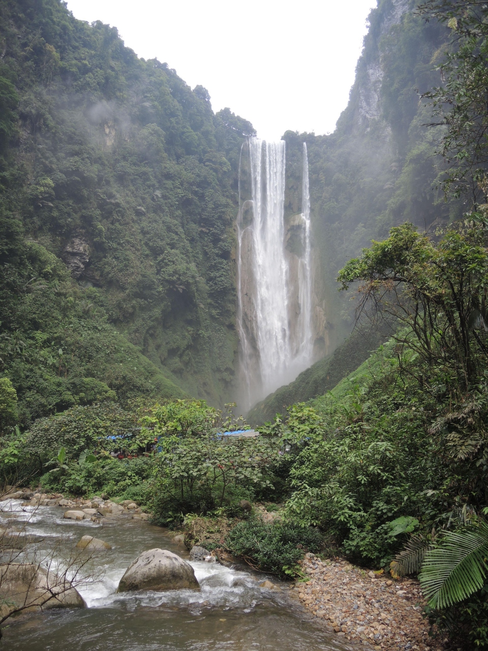 中国 貴州・広西2018 水迸り、大地起つ・・・・(11)薬用植物も豊富な「通霊(トンリン)大峡谷」