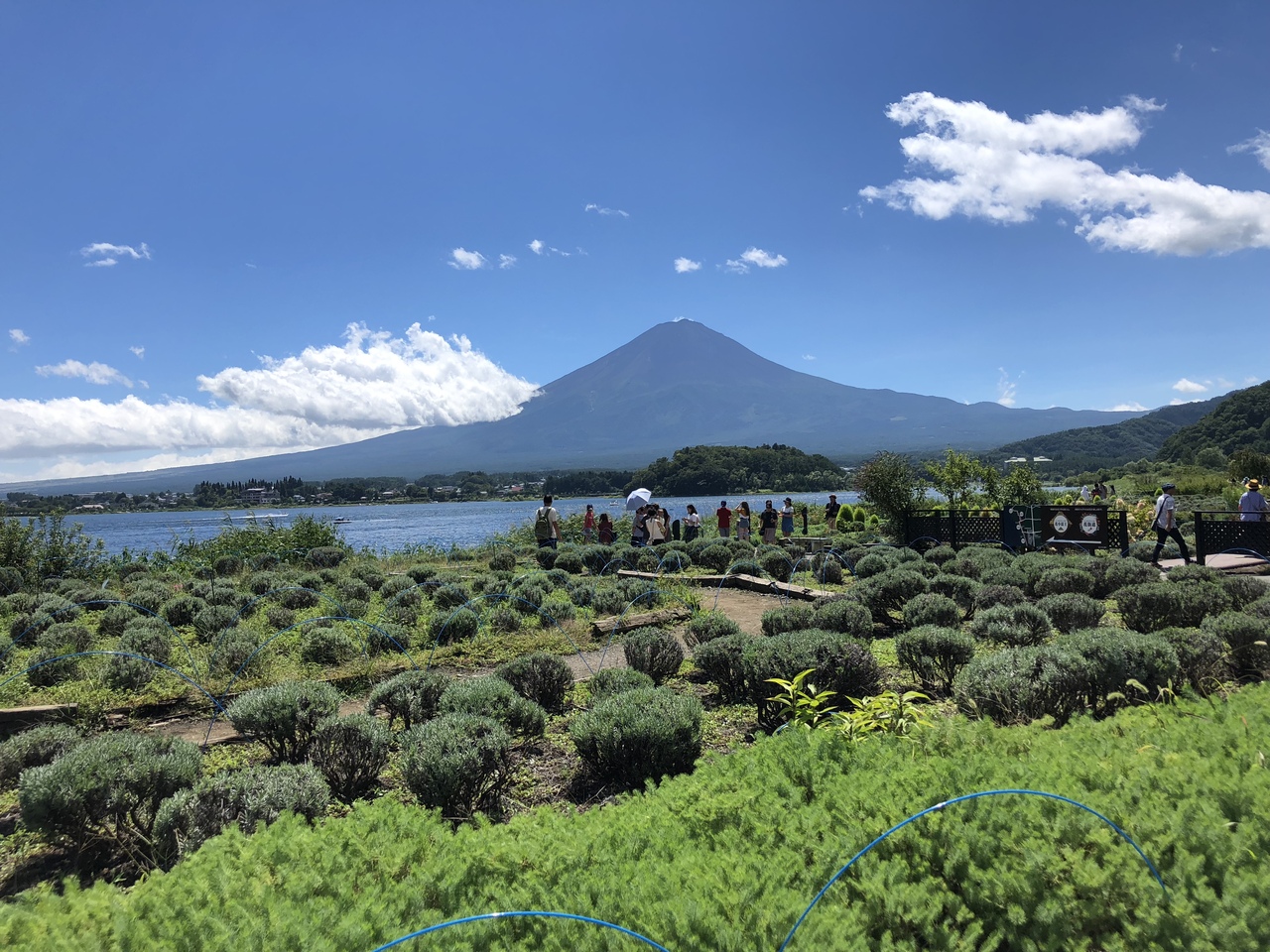 日帰りドライブ 河口湖で桃パフェ 富士五湖 山梨県 の旅行記 ブログ By Tabizukimayuさん フォートラベル