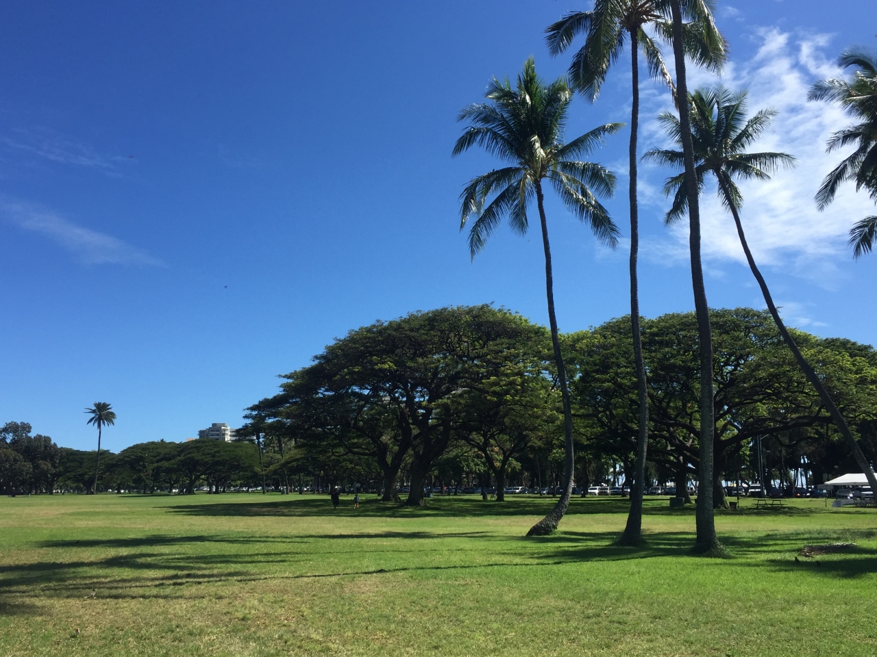 ファミリーハワイ旅行その1 オアフ島 ハワイ の旅行記 ブログ By Domiさん フォートラベル