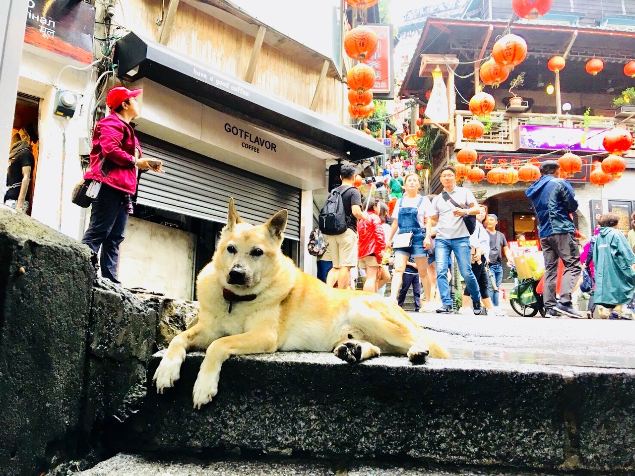 初めての台湾旅行 18年9月 台北 台湾 の旅行記 ブログ By Shantiさん フォートラベル
