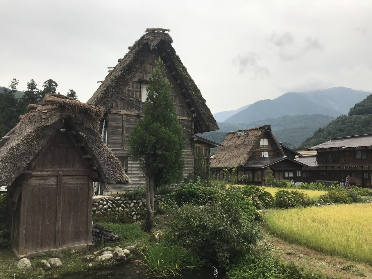 9月の白川郷をお散歩 犬と一緒 白川郷 岐阜県 の旅行記 ブログ By えりおさん フォートラベル