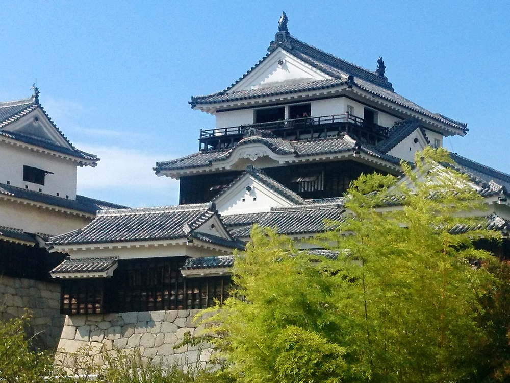 松山家族旅行 新潟経由で温泉 お城 蛇口ジュース 松山 愛媛県 の旅行記 ブログ By 旅太郎のお母さんさん フォートラベル