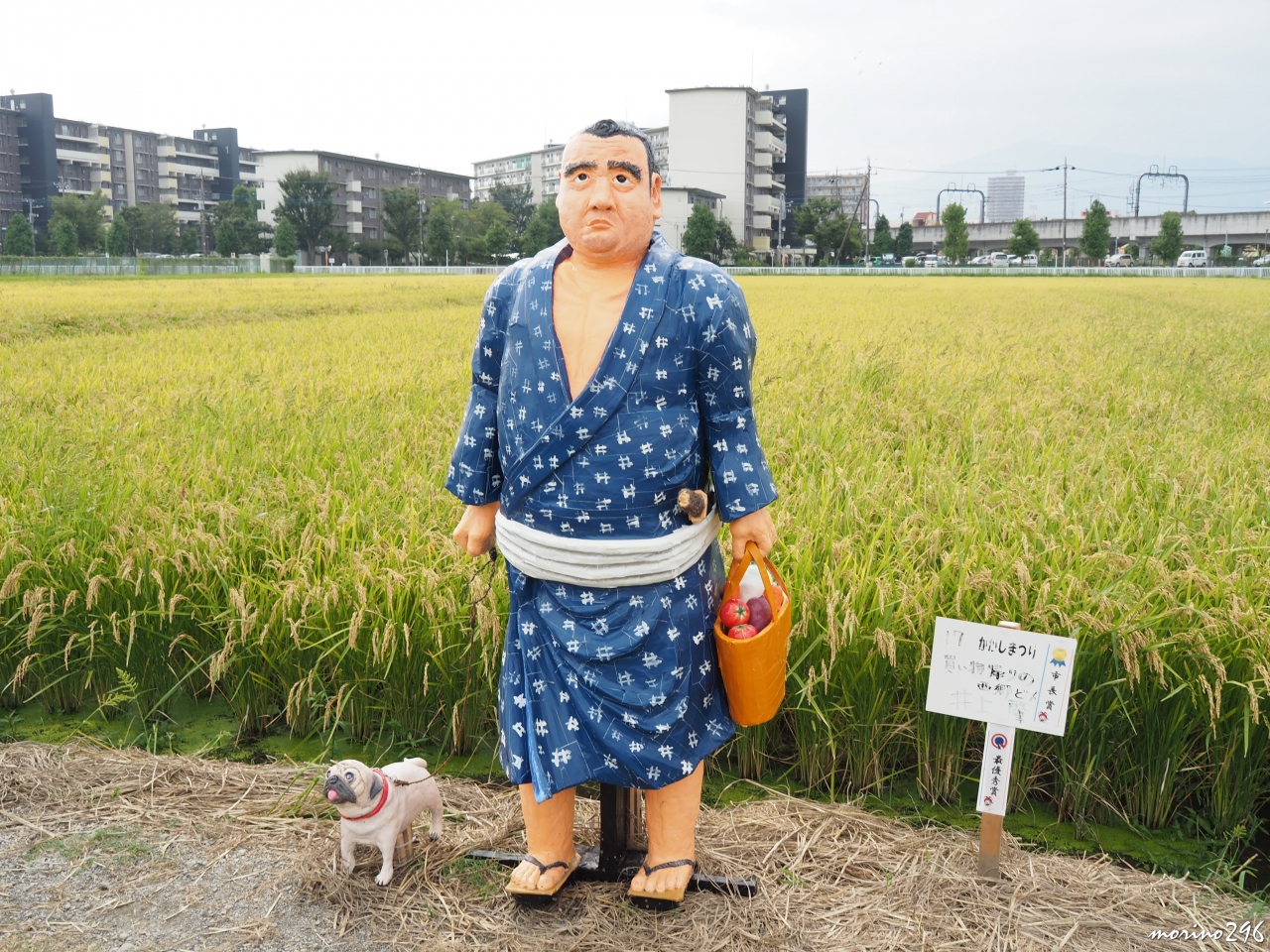 作り方 案山子 の