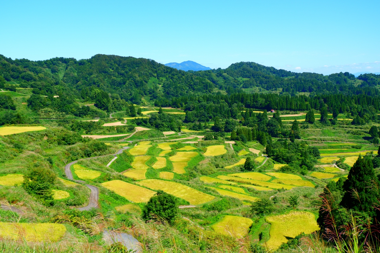 観タクンで巡る十日町の棚田 新潟旅行その１ 十日町 津南 新潟県 の旅行記 ブログ By まりもまめさん フォートラベル