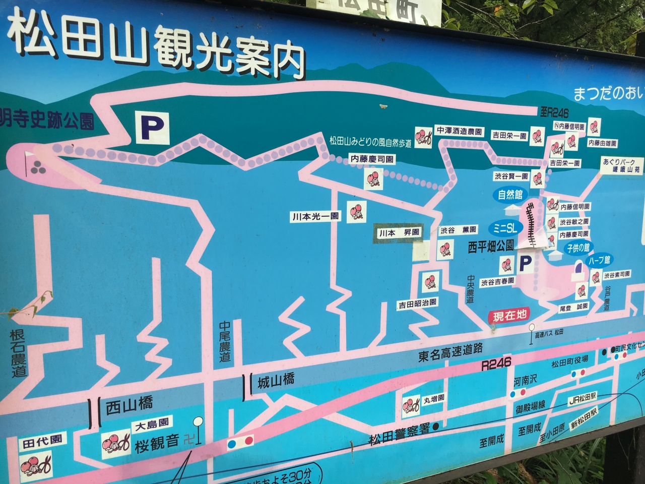 松田山 山歩 秦野 松田 足柄 神奈川県 の旅行記 ブログ By 4wtraselectさん フォートラベル