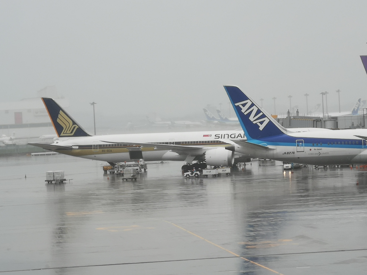 18sw 成田午前発シンガポール航空でバリ島10日間 バリ島 インドネシア の旅行記 ブログ By まうまうさん フォートラベル