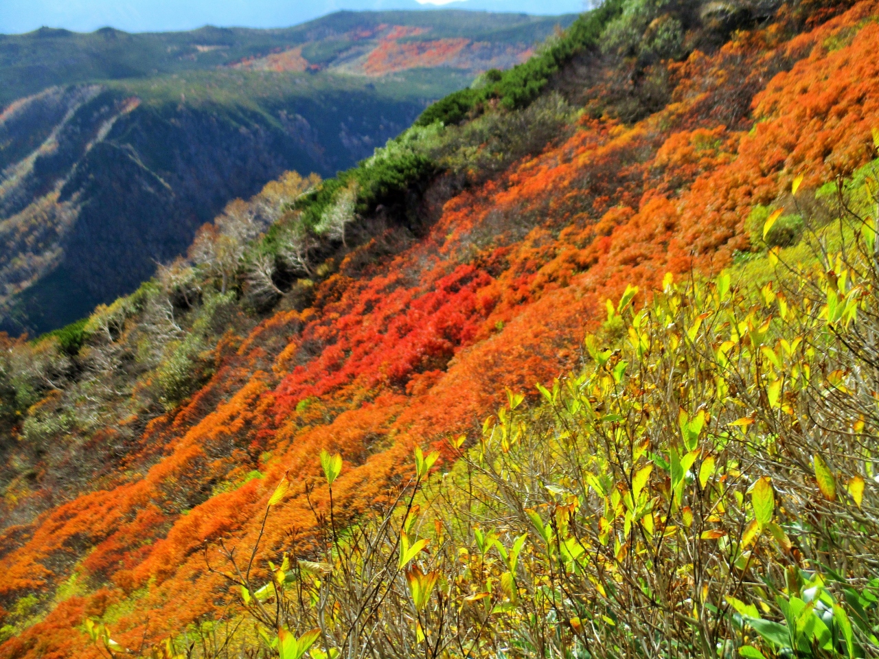 北海道の秋を 楽しむ旅 2日目 層雲峡 北海道 の旅行記 ブログ By Tom Sawyerさん フォートラベル 北海道の秋を 楽しむ旅 2日目 層雲峡 北海道 の旅行記 ブログ By Tom Sawyerさん フォートラベル