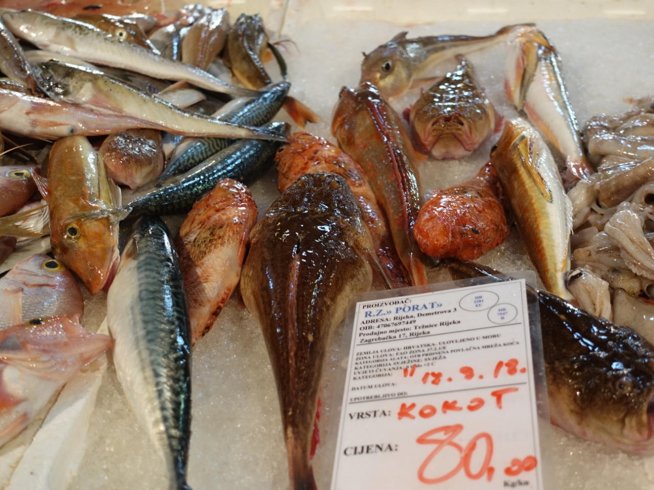 18swイストラ半島その５ リエカの魚市場は活きがいい リエカ クロアチア の旅行記 ブログ By Rosaryさん フォートラベル