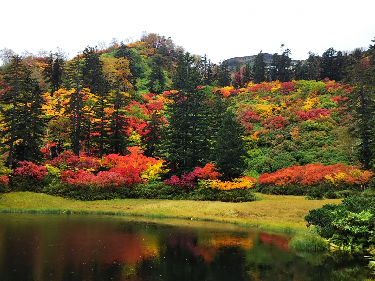 18 9 15 19 一足早い北海道の紅葉巡り5日間 大雪高原沼巡り 東川 上川 北海道 の旅行記 ブログ By マルネコさん フォートラベル