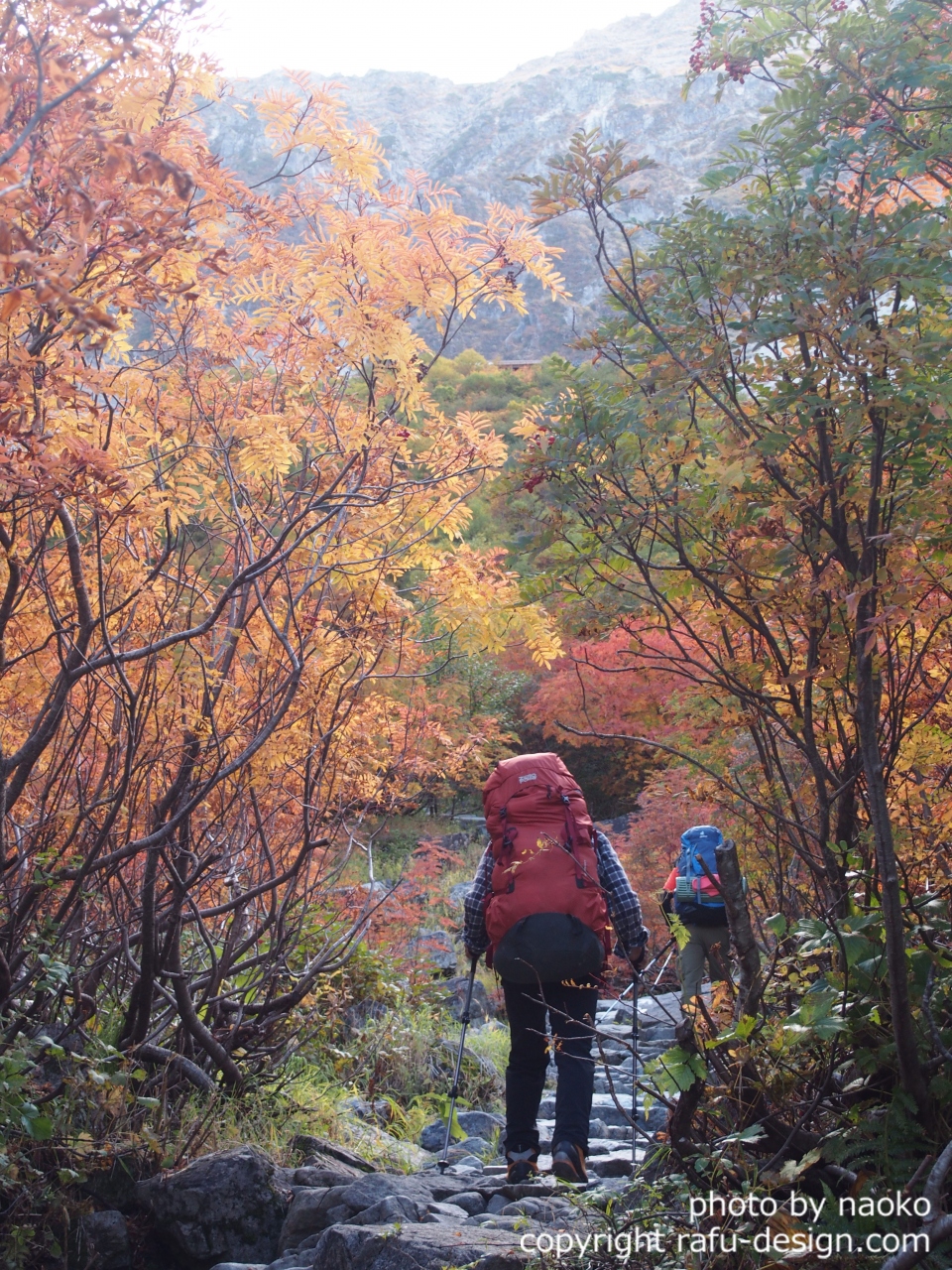 初心者登山 上高地 涸沢 上高地 長野県 の旅行記 ブログ By Naoko さん フォートラベル