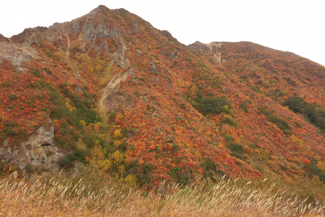 紅葉の那須岳へ行ってきました 那須 栃木県 の旅行記 ブログ By Arooyさん フォートラベル 紅葉の那須岳へ行ってきました 那須 栃木県 の旅行記 ブログ By Arooyさん フォートラベル
