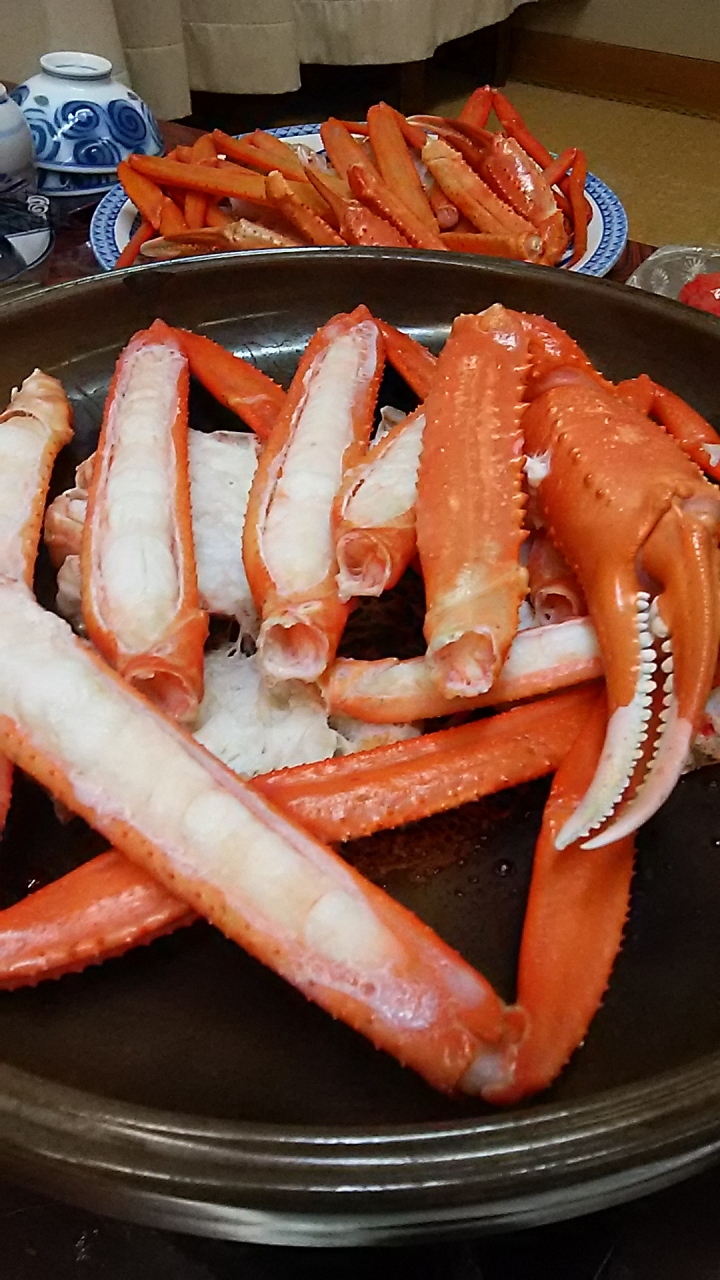 海 砂浜に癒されたくて 香住 余部 兵庫県 の旅行記 ブログ By 酔えないシャンペンさん フォートラベル