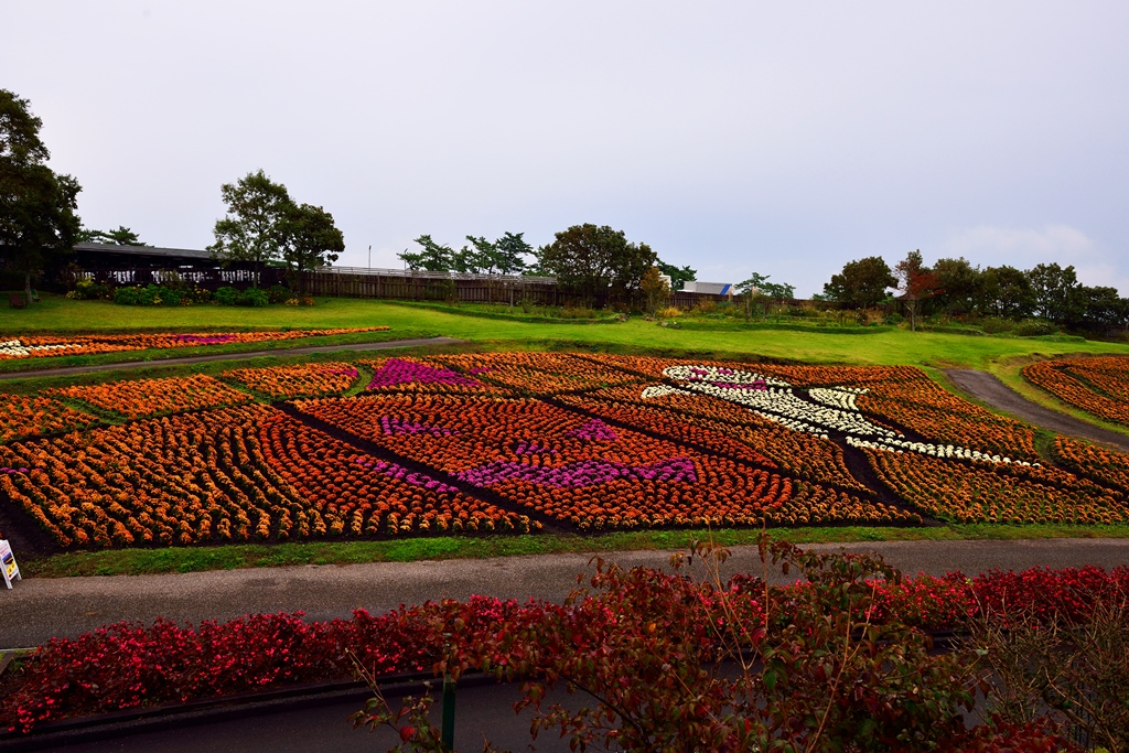 くじゅう花公園 18秋 久住高原 大分県 の旅行記 ブログ By 気まぐれなデジカメ館さん フォートラベル