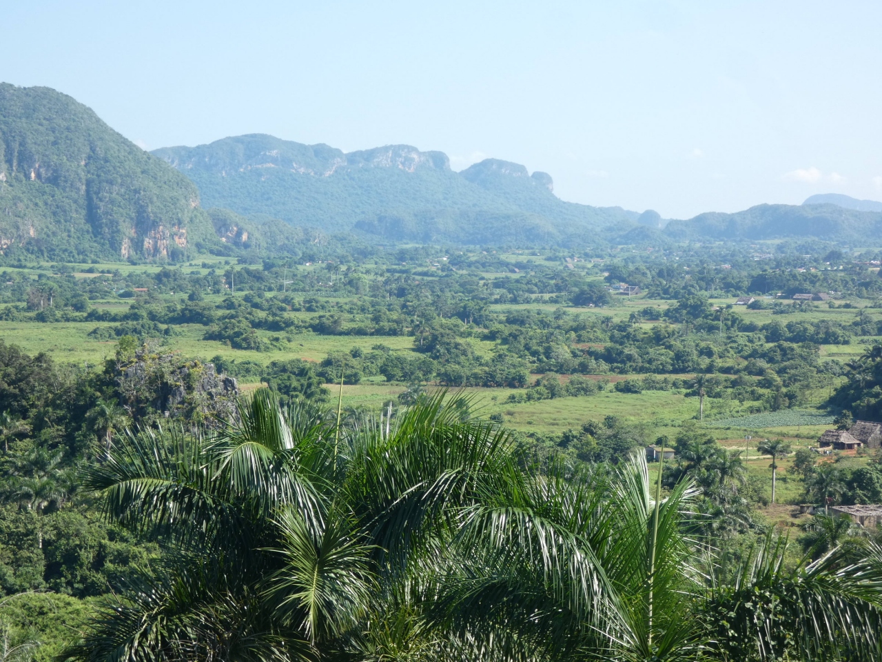キューバ ビニャーレス渓谷前半 Los Jazmines Vinales Valley Cuba その他の都市 キューバ の旅行記 ブログ By ちふゆさん フォートラベル キューバ ビニャーレス渓谷前半 Los Jazmines Vinales Valley Cuba その他の都市 キューバ の旅行記 ブログ By ちふゆさん フォートラベル