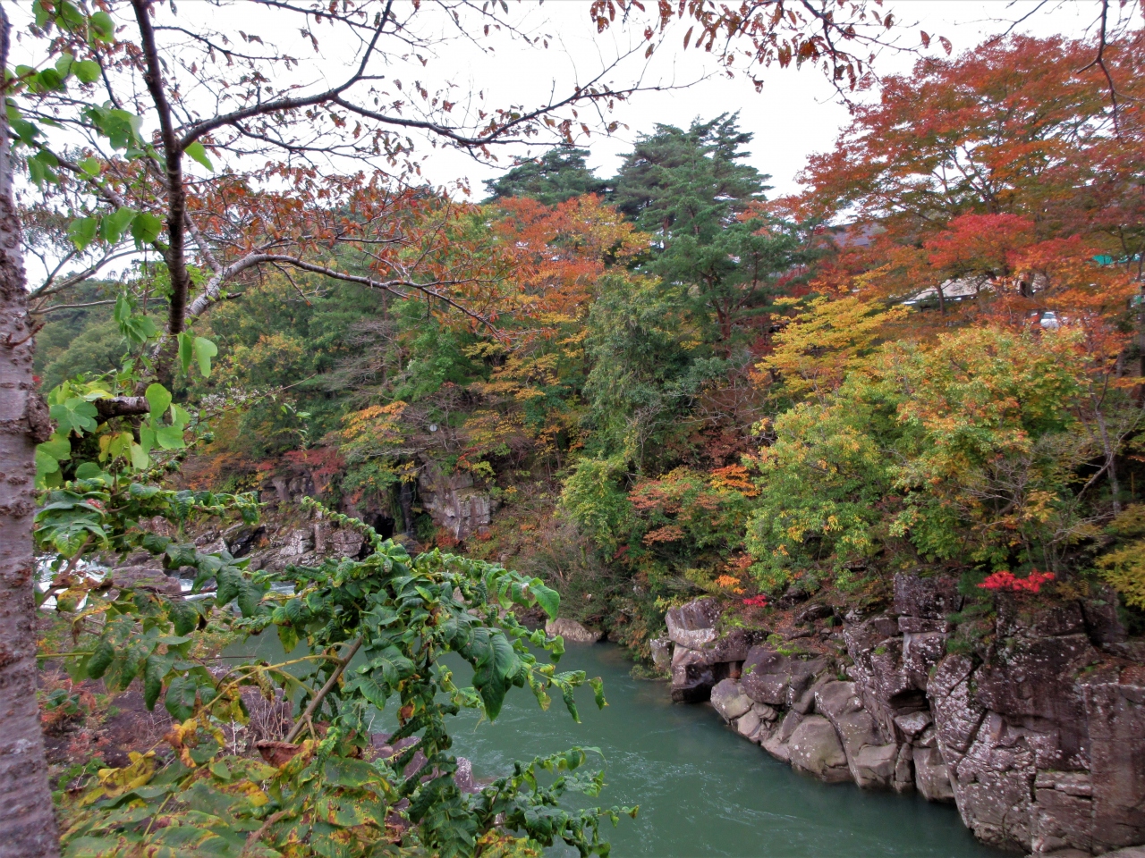 ２０１７年１０月 錦秋の東北 ４日目 その３ 厳美渓の紅葉 平泉 岩手県 の旅行記 ブログ By イロコさん フォートラベル