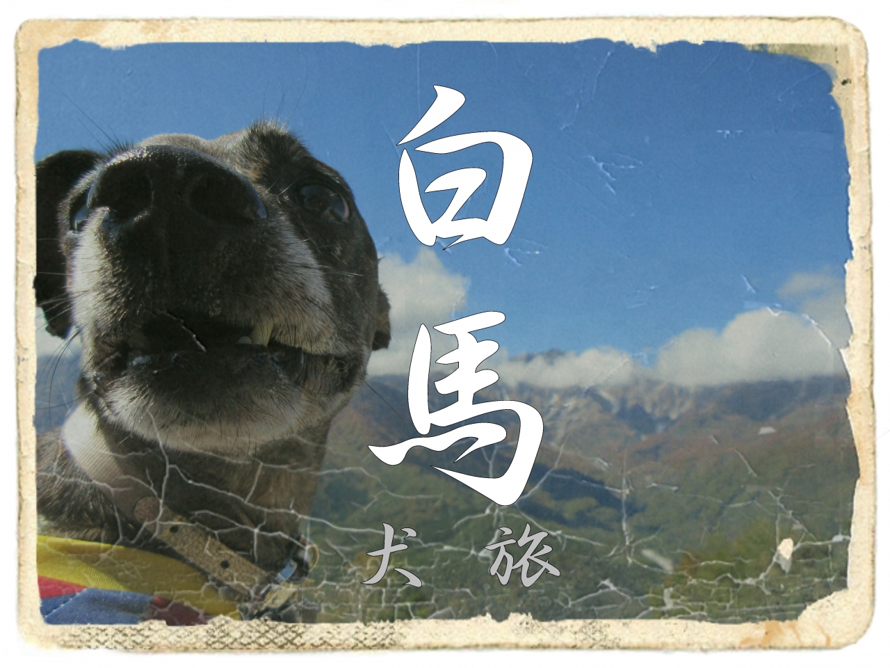犬旅 白馬 五竜 長野県 の旅行記 ブログ By おま さん フォートラベル