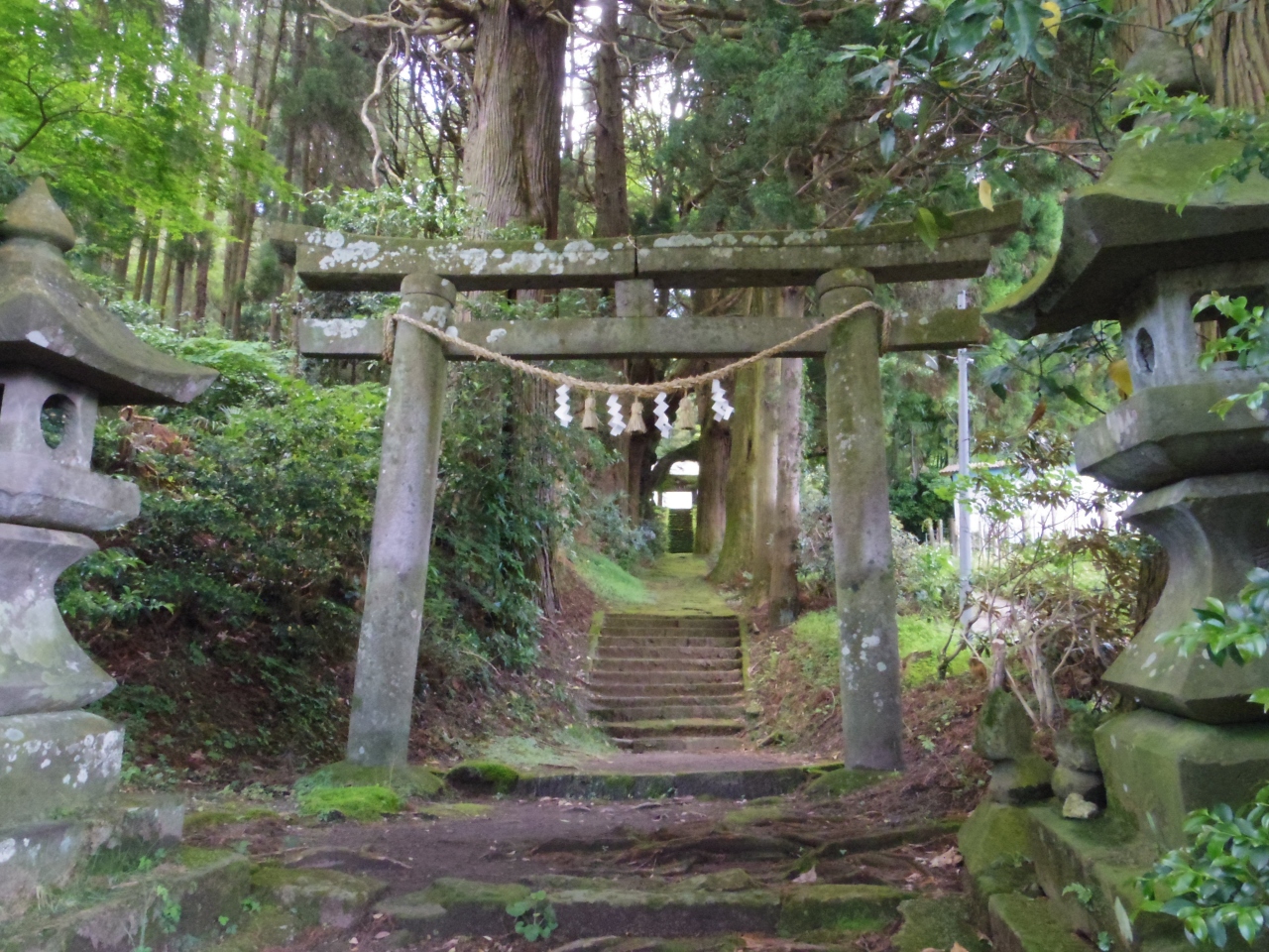 どこかにマイル で行った 日帰り旅行 大分ツアー 2 別府温泉 大分県 の旅行記 ブログ By 小浜線さん フォートラベル