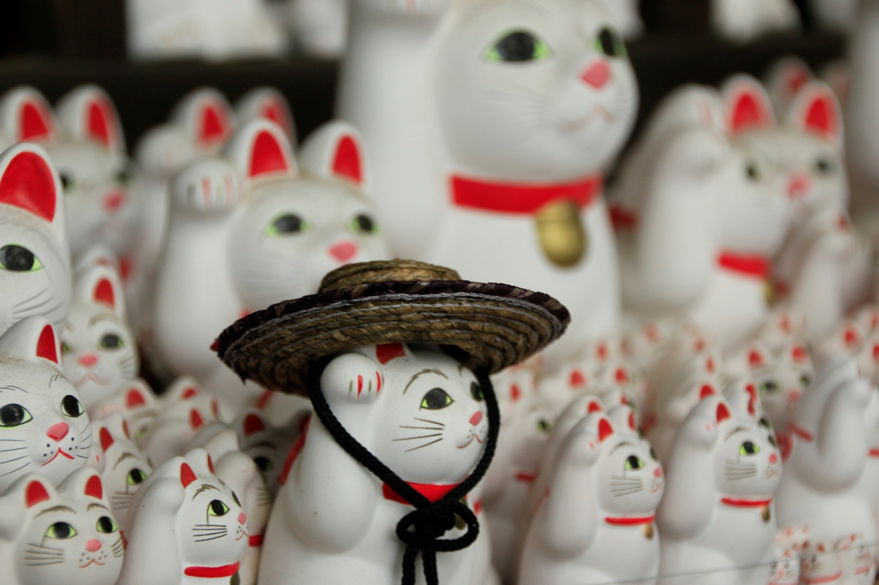 さよなら幸福の招き猫電車 猫電車と豪徳寺の招き猫を訪ねて 三軒茶屋 駒沢 東京 の旅行記 ブログ By クッシーさん フォートラベル