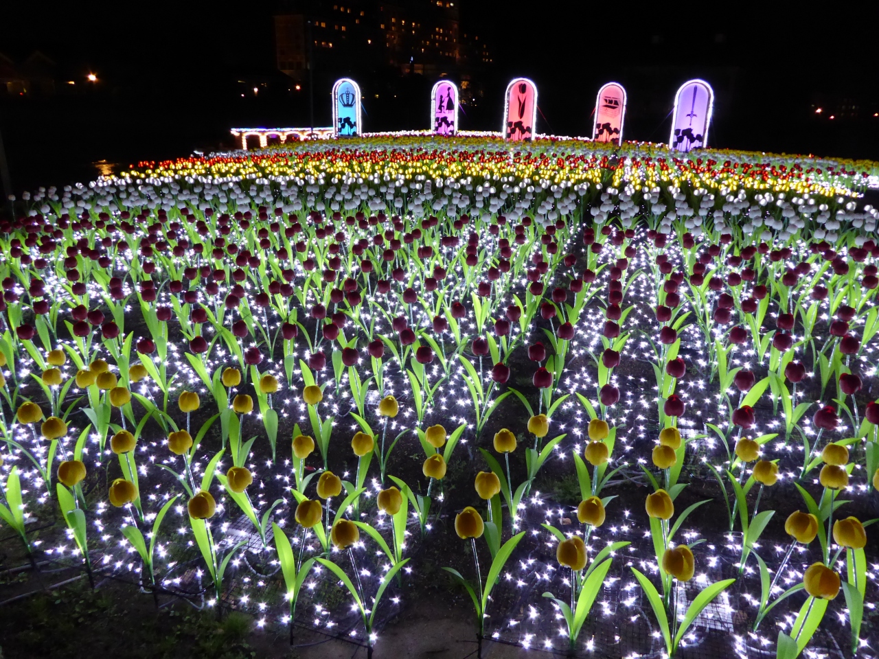 ハウステンボス チューリップ祭りとイルミネーションを歩く ハウステンボス周辺 長崎県 の旅行記 ブログ By Walker00さん フォートラベル