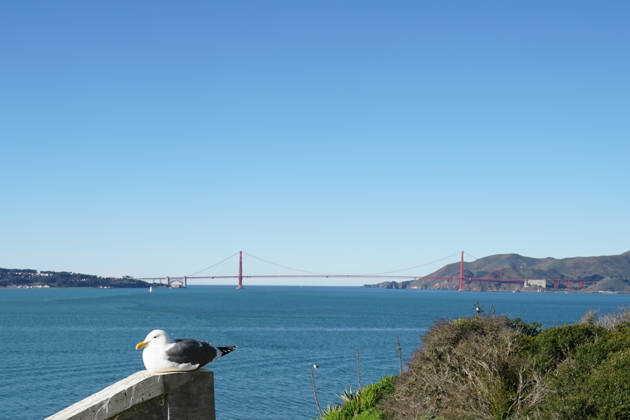 アメリカ 出張ついでに少し観光 サンフランシスコ サンフランシスコ アメリカ の旅行記 ブログ By Citrinitasさん フォートラベル