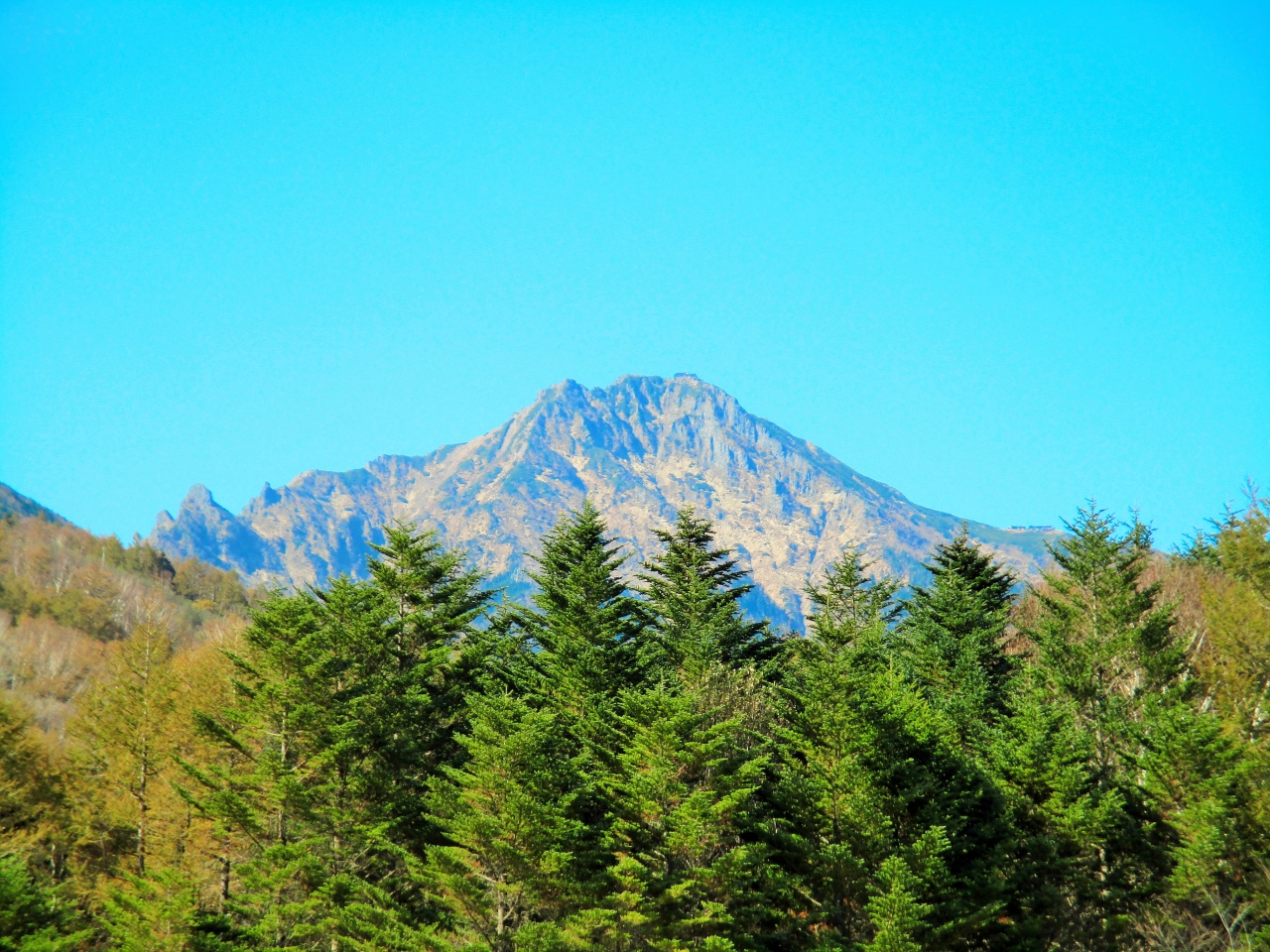 のんびりバス旅行 サンメドウズ清里でランチ 勝沼でぶどう狩り 清里 八ヶ岳 山梨県 の旅行記 ブログ By Tom Sawyerさん フォートラベル