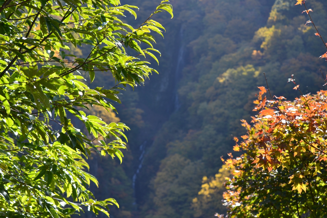 紅葉にちょっと早かった18松川渓谷 雷滝 八滝 須坂 長野県 の旅行記 ブログ By エステ大好きさん フォートラベル