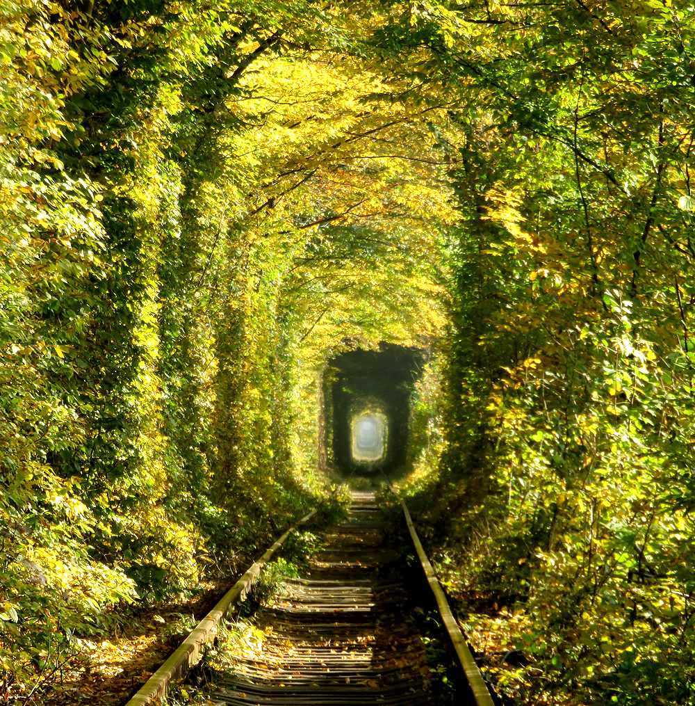 団塊夫婦のヨーロッパ紅葉を巡る旅 ２０１８ー 2 ウクライナ１ 紅葉時もすばらしかった愛のトンネルへ リヴィウ ウクライナ の旅行記 ブログ By Miharashiさん フォートラベル