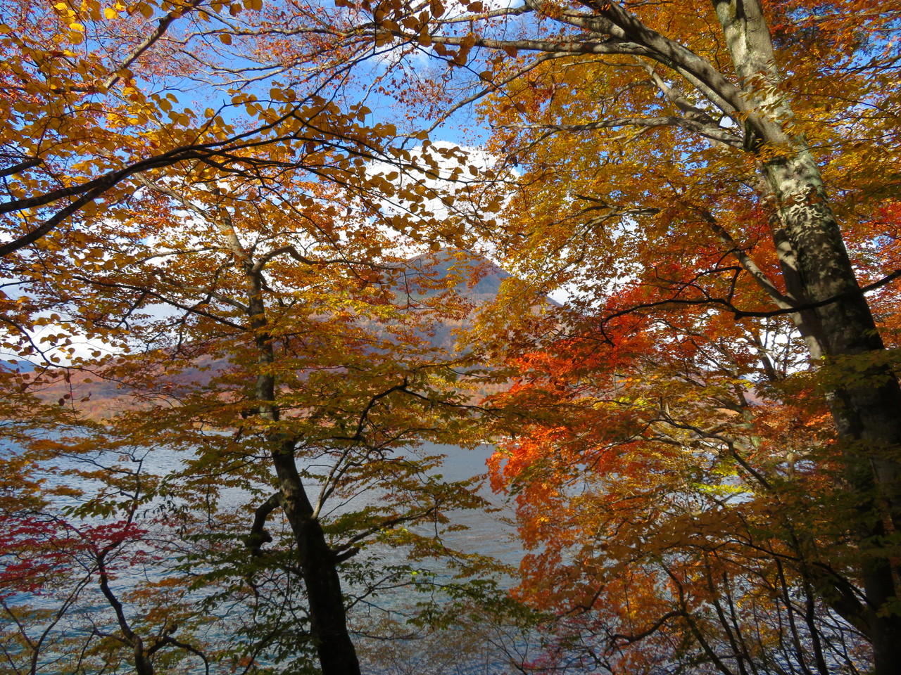 奥日光 紅葉狩り 渋滞回避で快適ドライブ 栃木県の旅行記 ブログ By ゆうぴさん フォートラベル