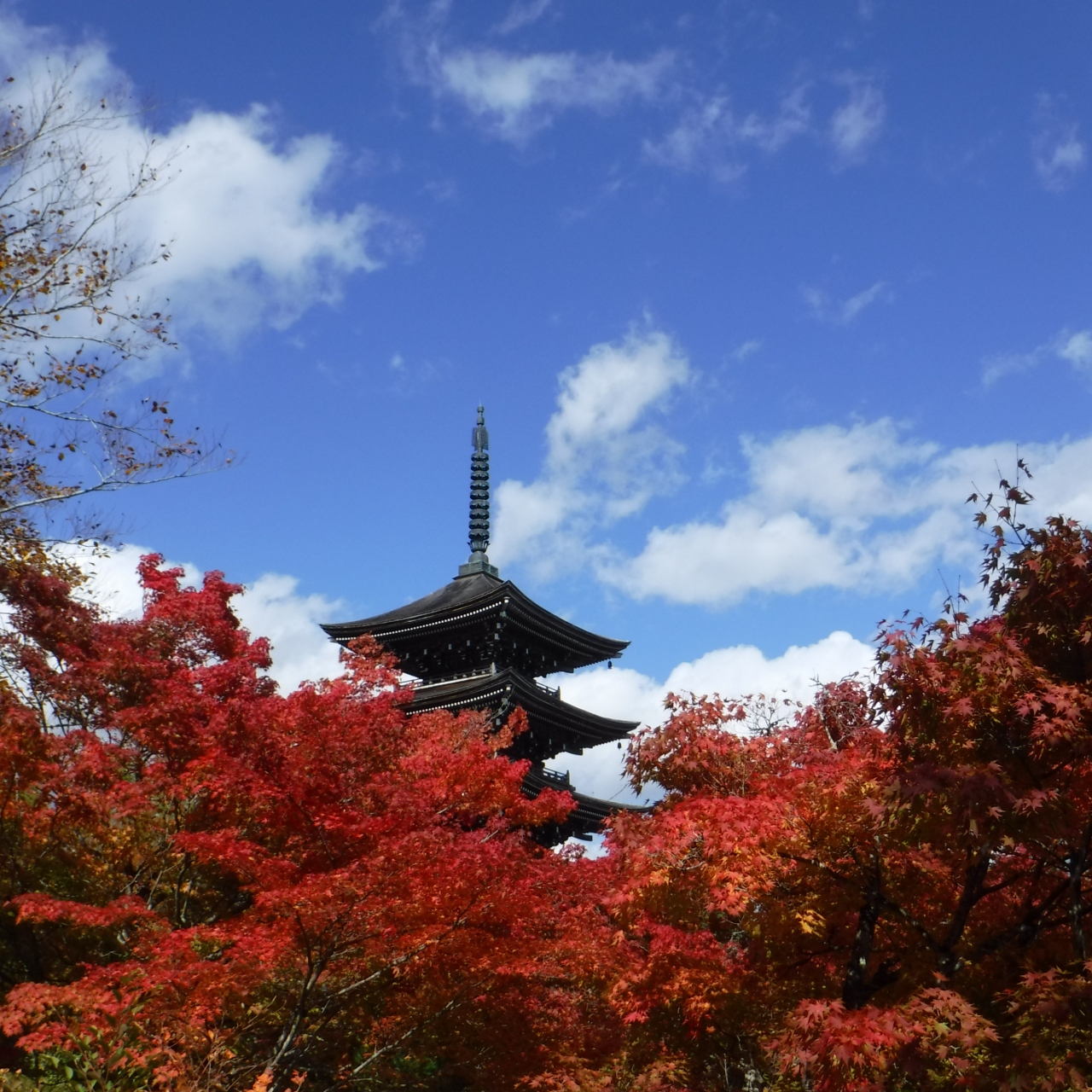 秋の定義山ドライブ 宮城県の旅行記 ブログ By Kaitoさん フォートラベル