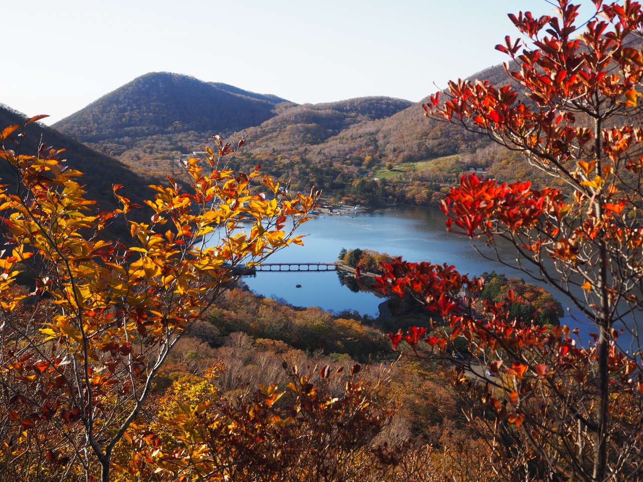 紅葉の赤城山 黒檜山から駒ヶ岳と草紅葉の覚満渕周遊ハイク 赤城山周辺 群馬県 の旅行記 ブログ By どりーまーさん フォートラベル