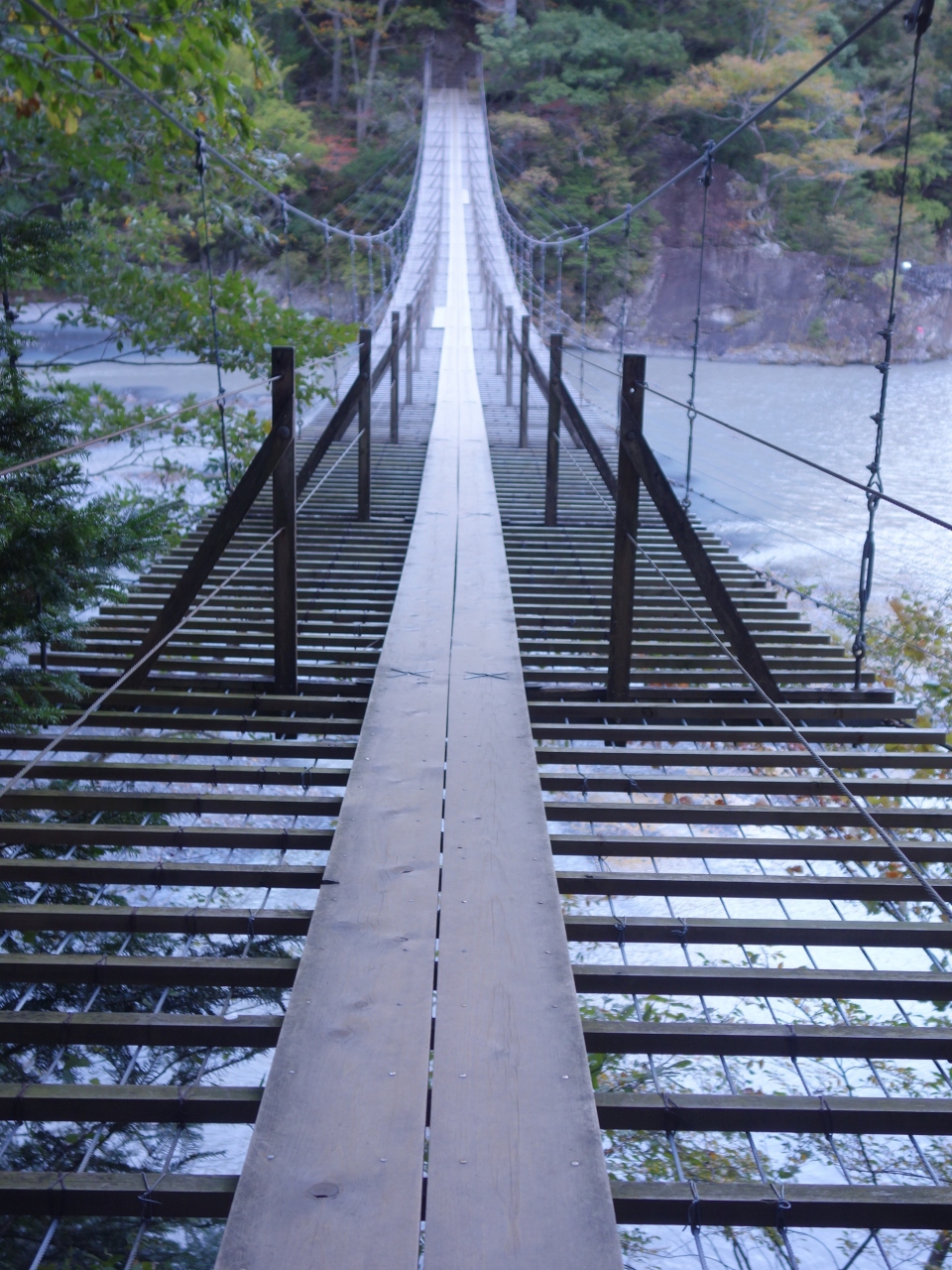 寸又峡 夢の吊橋までの道もけっこうしんどかった でも良い吊橋だった 寸又峡温泉 静岡県 の旅行記 ブログ By Nomonomoさん フォートラベル