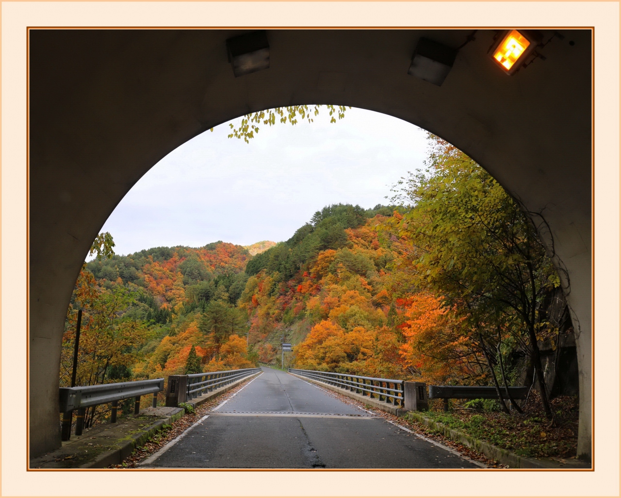 Solitary Journey 1960 紅葉真っ盛りの西中国山地を走る 八幡高原 標高1346mの恐羅漢山 餅の木林道 広島県山県郡 三段峡 安芸太田 北広島 広島県 の旅行記 ブログ By Mechagodzilla 703さん フォートラベル Solitary Journey 1960 紅葉真っ盛りの西中国山地を走る 八幡高原 標高1346mの恐羅漢山 餅の木林道 広島県山県郡 三段峡 安芸太田 北広島 広島県 の旅行記 ブログ By Mechagodzilla 703さん フォートラベル