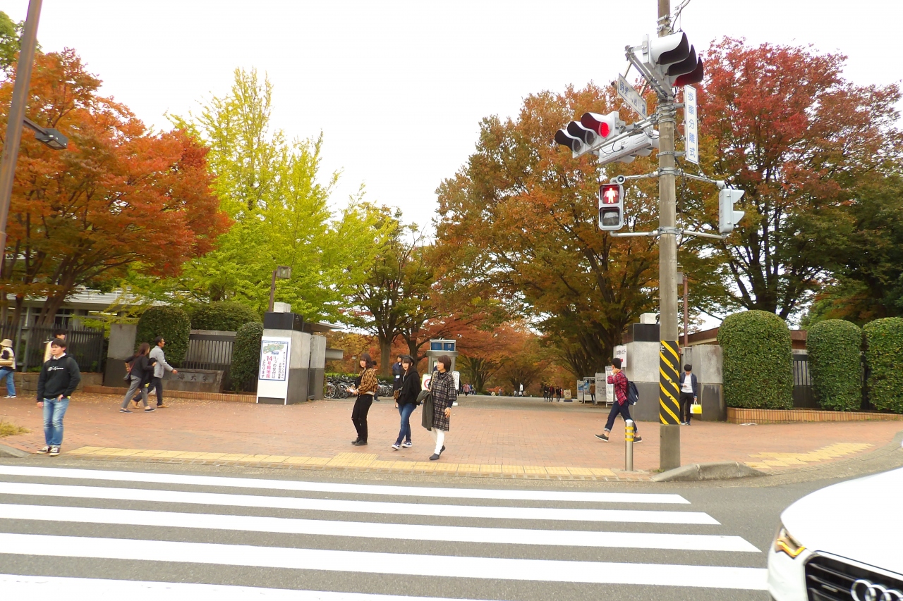 湘南 東海 キャンパス 大学