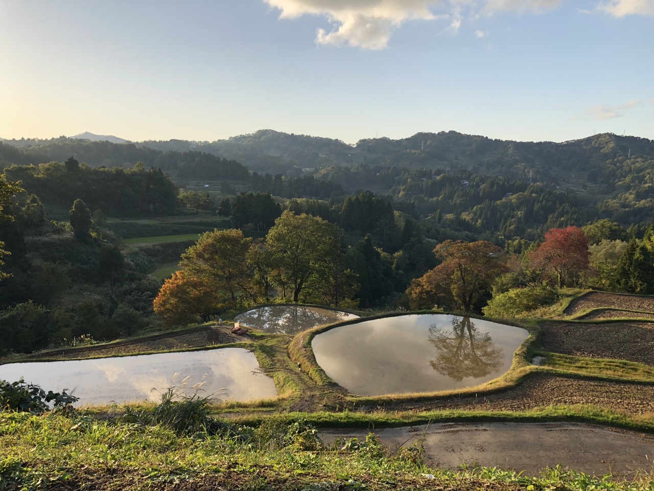 十日町市松代 星峠の棚田 儀明の棚田 蒲生の棚田 十日町 津南 新潟県 の旅行記 ブログ By Sasaraさん フォートラベル