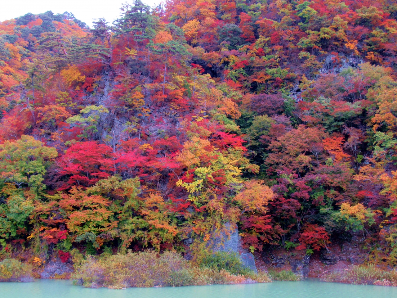 18年秋川治ダム湖周辺 日光日向 塩原 の鮮やかな紅葉に癒されてきました 川治温泉 栃木県 の旅行記 ブログ By ごまさん フォートラベル